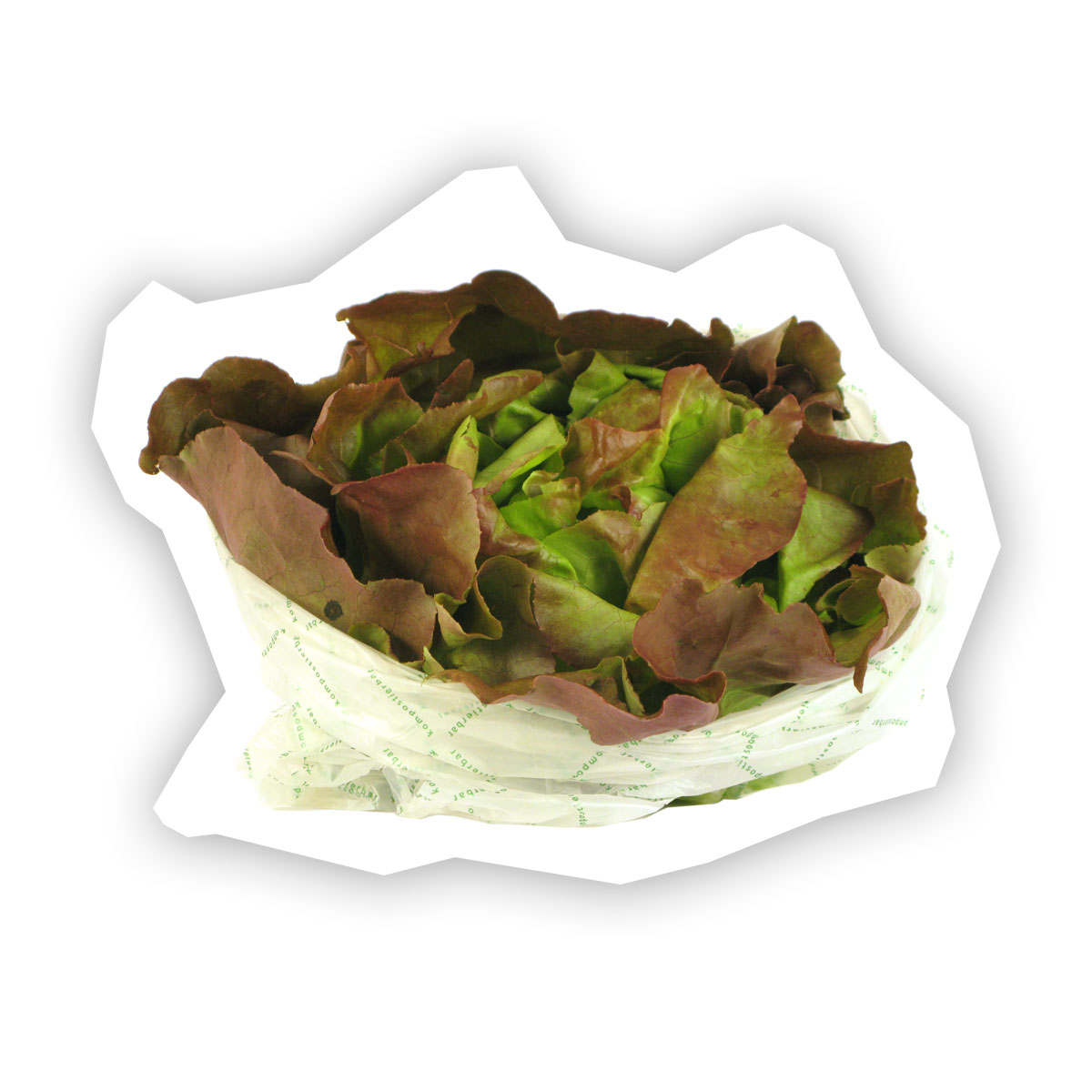 Bio Kopfsalat rot