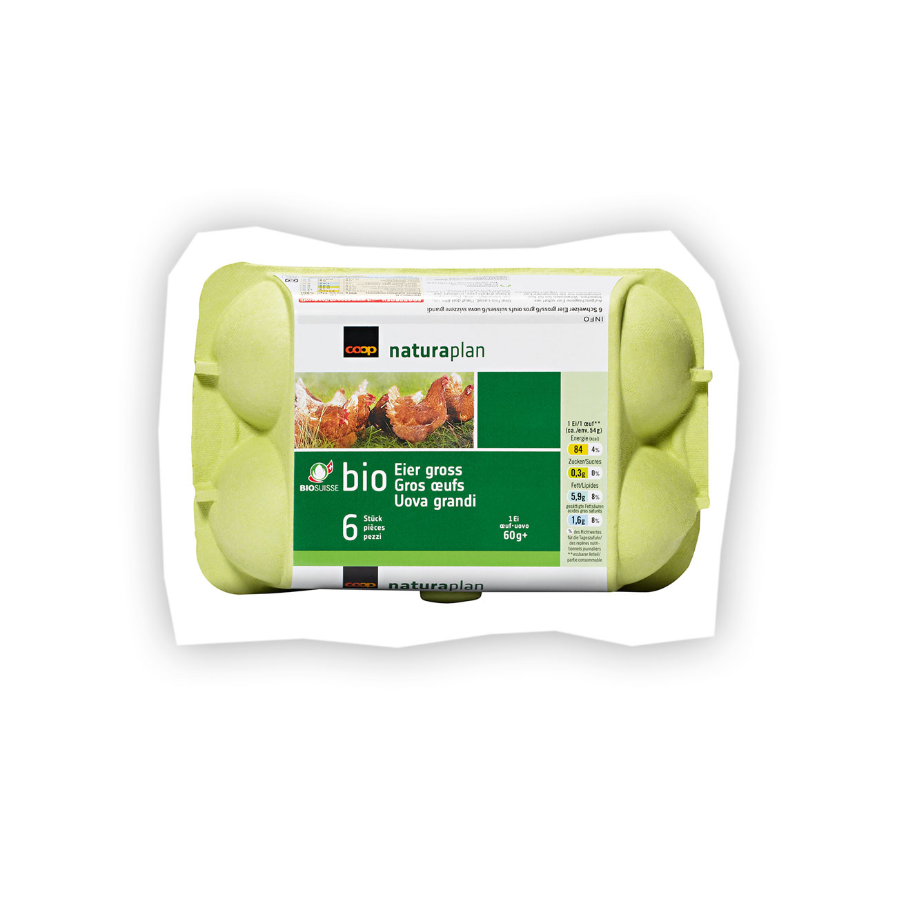 Bio Eier gross