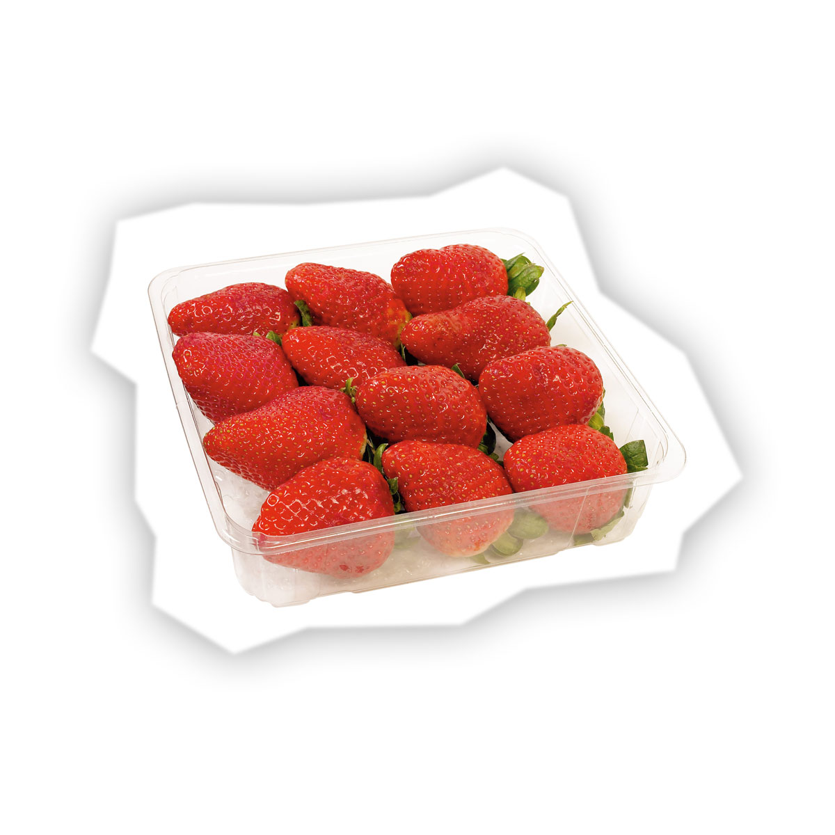 Erdbeeren Spanien